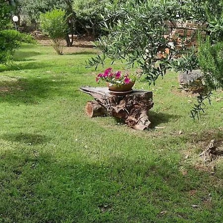 Ferienhaus Malu House *